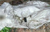 Puttur : Skeletal remains of unidentified person found in gunny bags near Renjilady